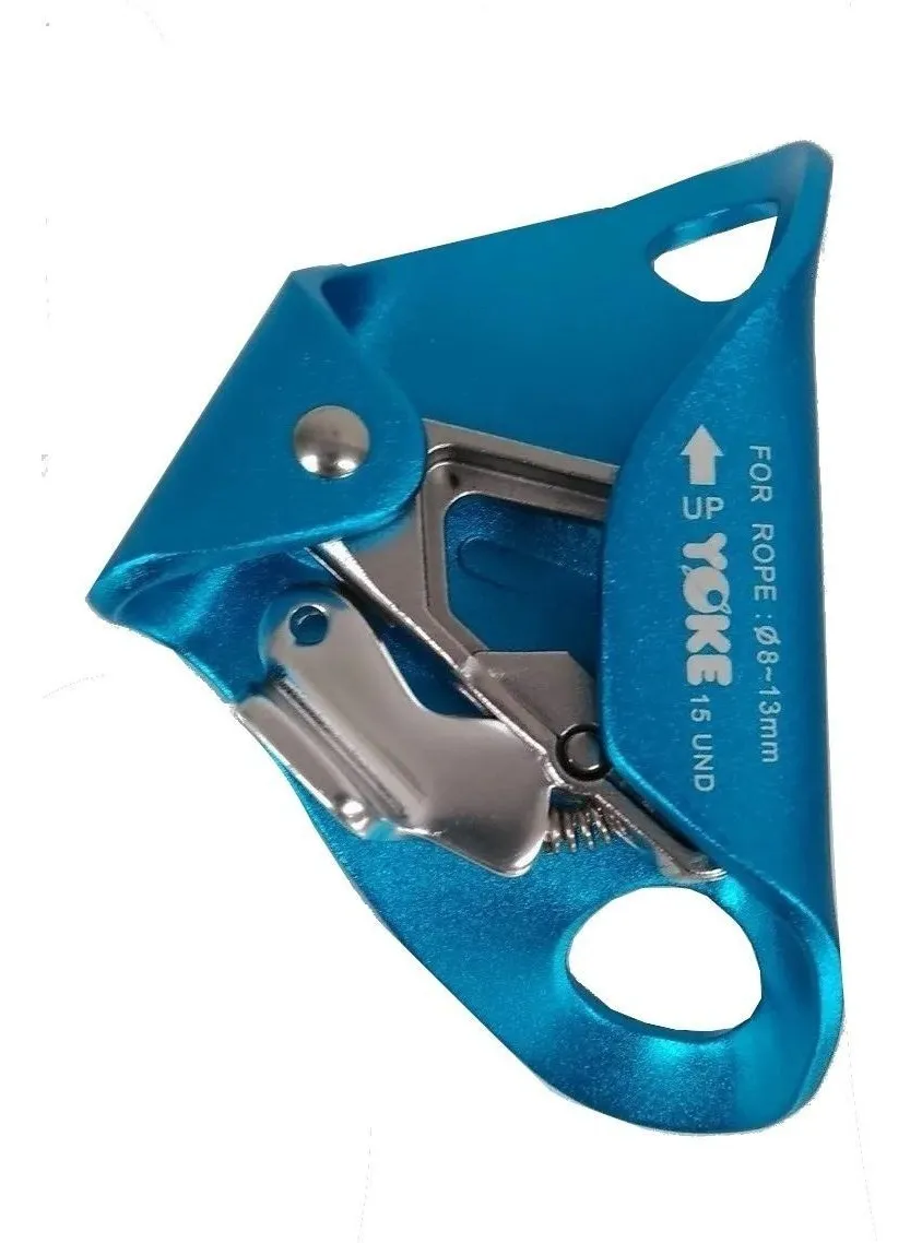 D_NQ_NP_2X_880050-MLA46389702810_062021-F